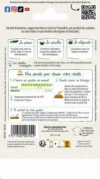 Potagères - Chicorée Frisée de Ruffec - MEDIA_PACKAGING_VERSO